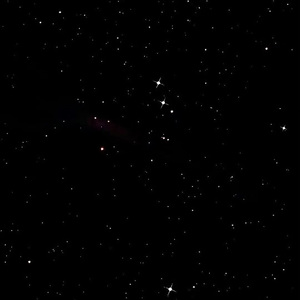 屁屁CCYYCOM绿帽国外
