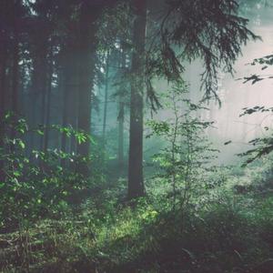 屁屁CCYYCOM绿帽国外
