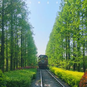 屁屁CCYYCOM绿帽国外
